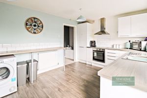 Photo 12- click for photo gallery